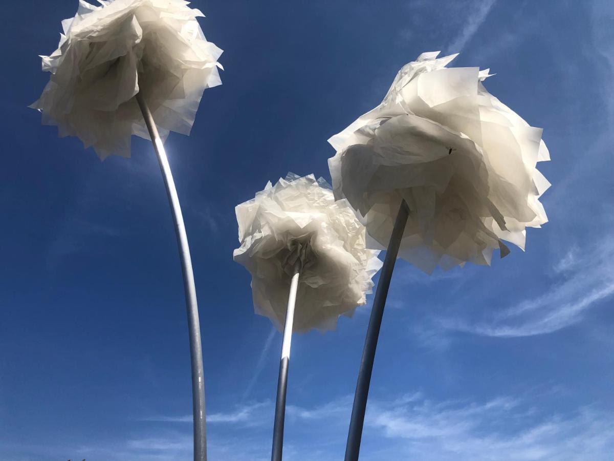 Appartamento Le jardin d Éden Béziers Esterno foto