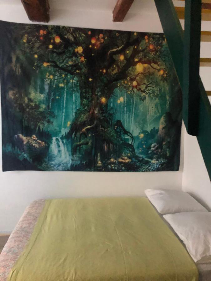 Appartamento Le jardin d Éden Béziers Esterno foto